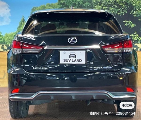 RX450H - 图片 15