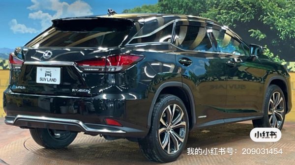 RX450H - 图片 14