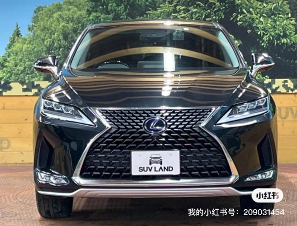 RX450H - 图片 4