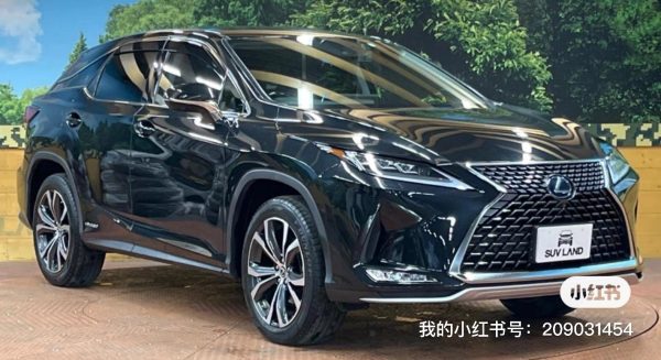 RX450H - 图片 12