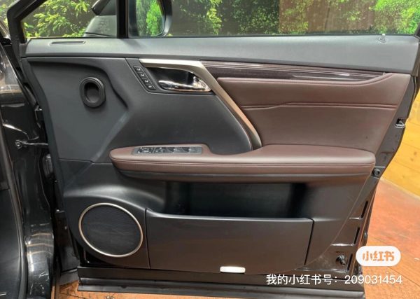 RX450H - 图片 8