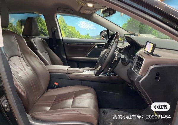 RX450H - 图片 7